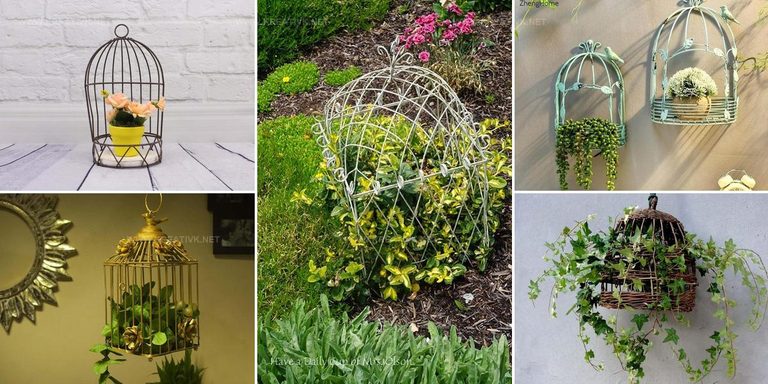 2908403 Birdcage Planter Ideas