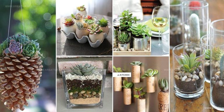 3178297 Recycled DIY Succulent Planter Ideas