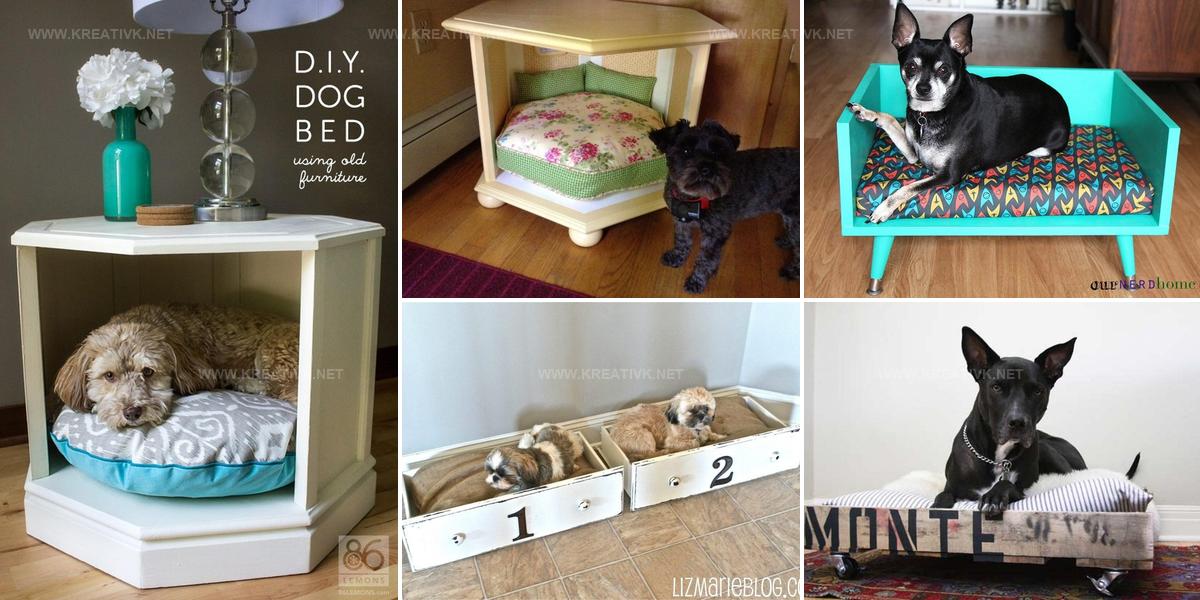 5145638 DIY Dog Bed Ideas