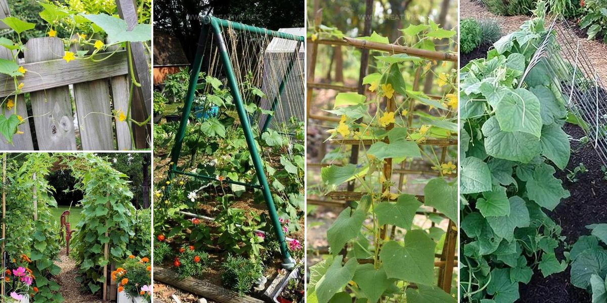 3430953 DIY Cucumber Trellis Ideas