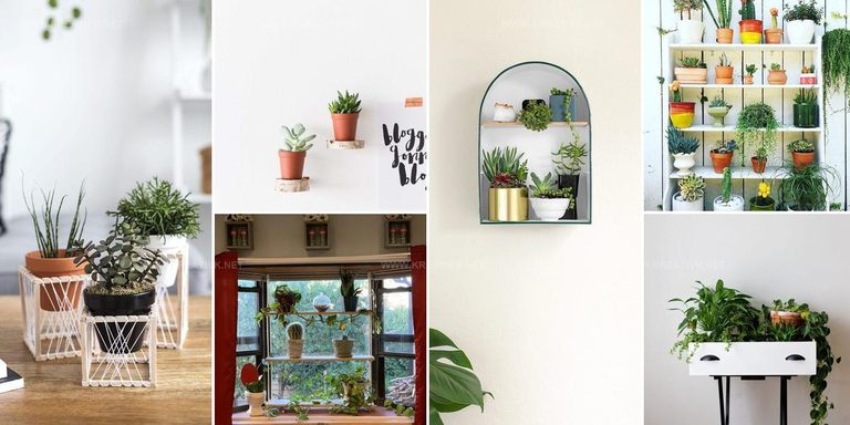2124903 DIY Plant Shelfie Ideas