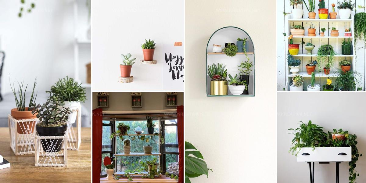 2124903 DIY Plant Shelfie Ideas