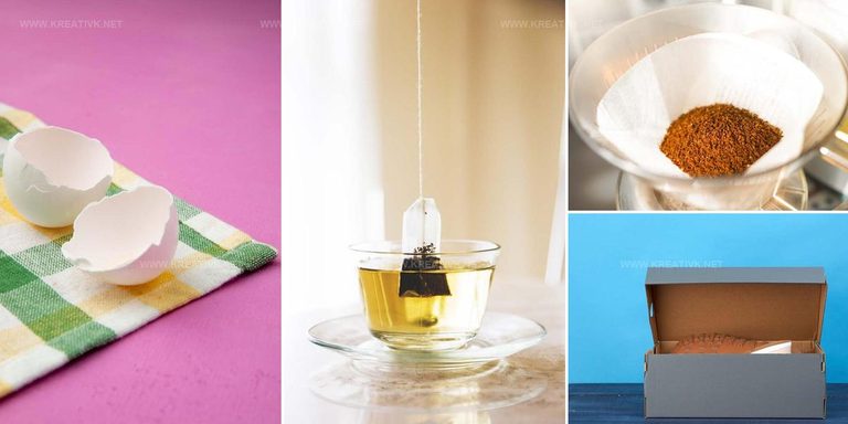 5560514 Reusable Household Item Ideas