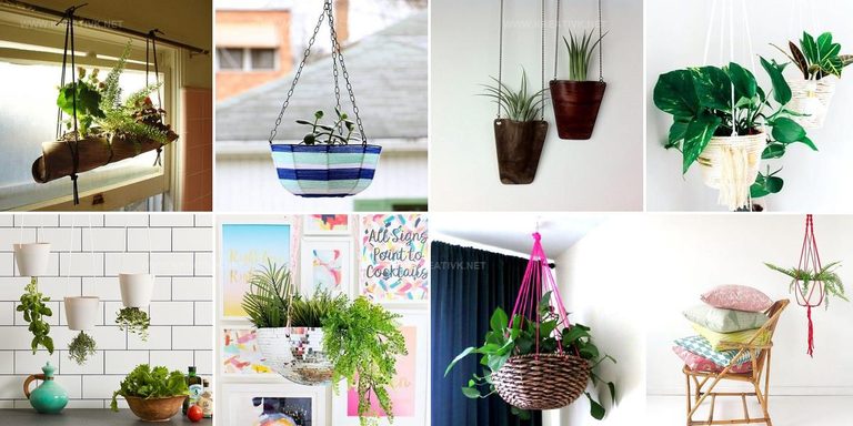 1758173 Indoor Hanging Plant Ideas
