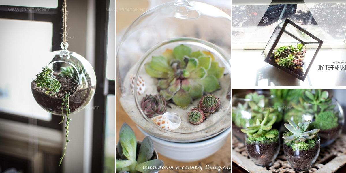 3137100 DIY Spring Terrarium Ideas