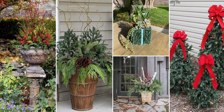 5365929 DIY Christmas Planter Ideas