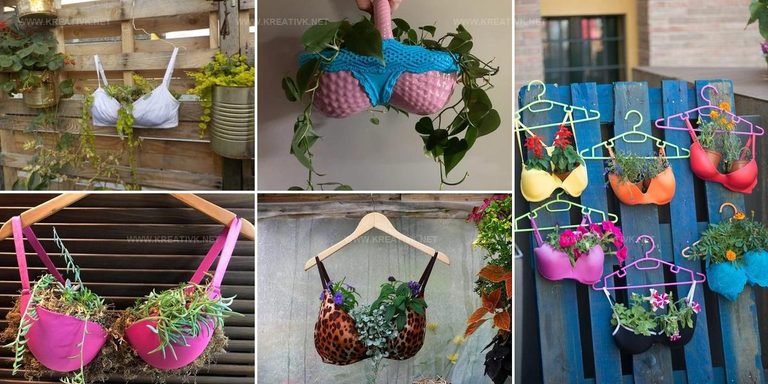 3543454 DIY Bra Garden Ideas