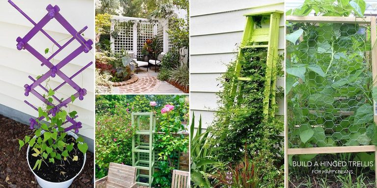 2617461 DIY Trellis Styles