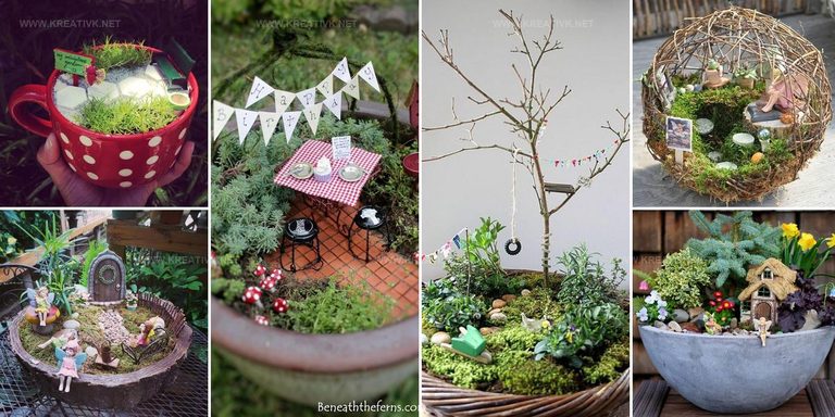 5513460 Miniature Fairy Garden Ideas