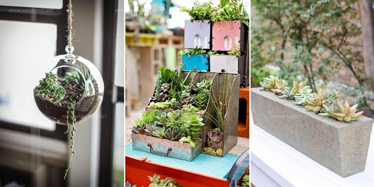 8550700 DIY Succulent Planter Inspiration