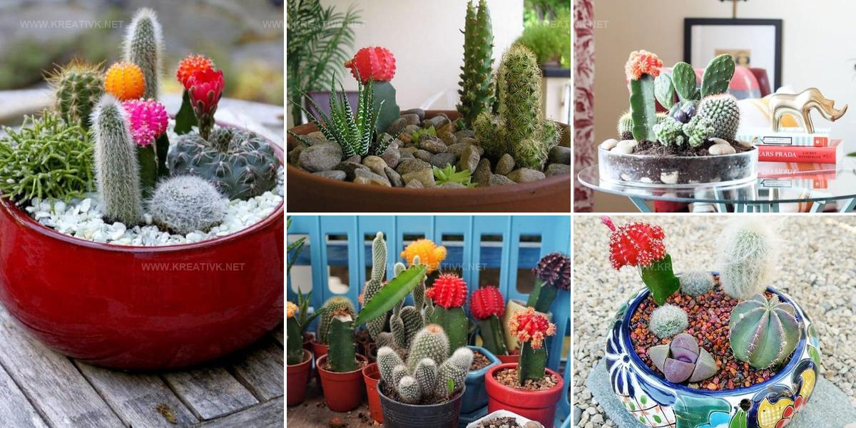 6709978 DIY Cactus Dish Garden Ideas