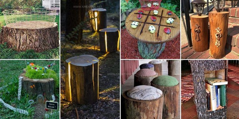 2609019 Tree Stump DIY Ideas