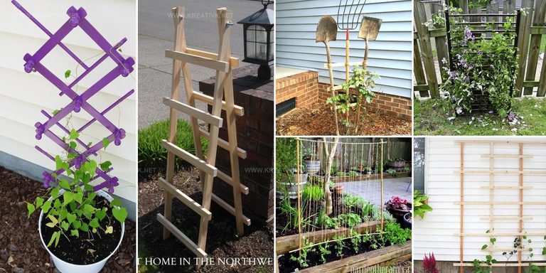 5101889 DIY Trellis Inspiration