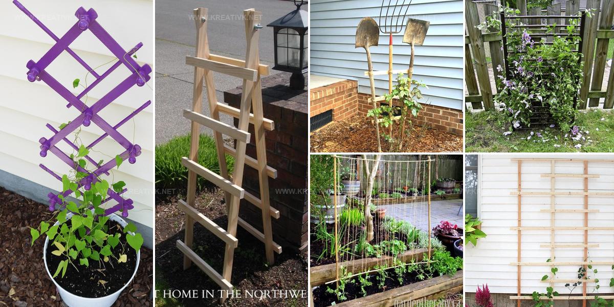 5101889 DIY Trellis Inspiration