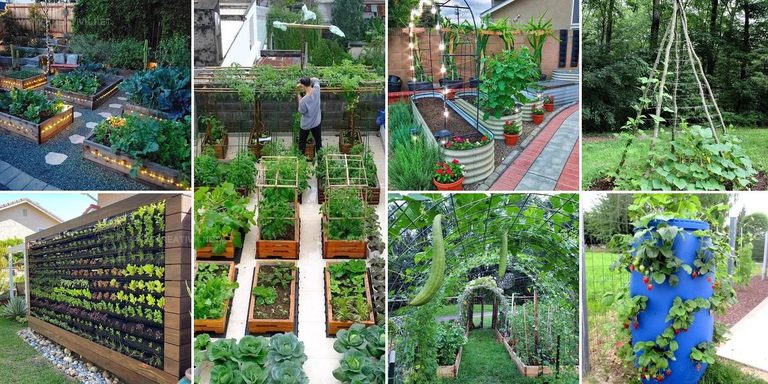 5380333 DIY Vegetable Gardening Ideas