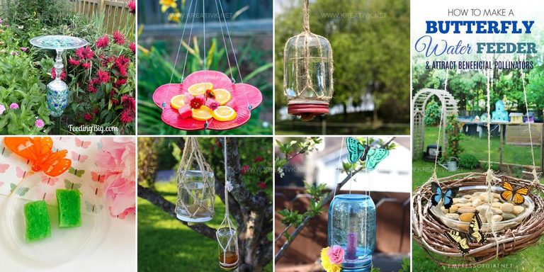 8262795 DIY Butterfly Feeder Ideas