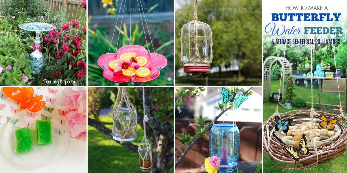 8262795 DIY Butterfly Feeder Ideas
