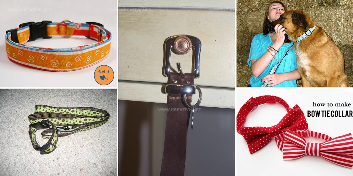 5267689 DIY Dog Collar Ideas