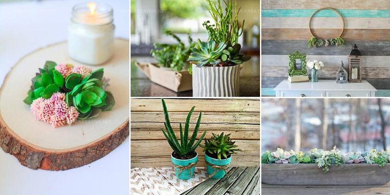 3792292 DIY Succulent Spring Ideas