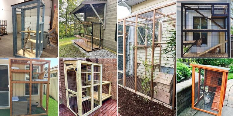 7898341 DIY Catio Ideas