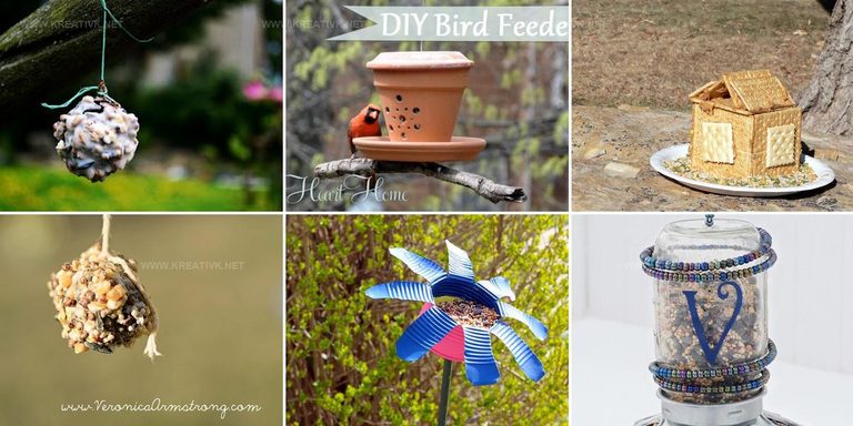 8232646 DIY Bird Feeder Ideas