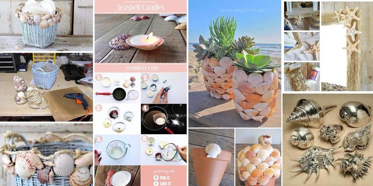 8127103 DIY Shell Project Ideas
