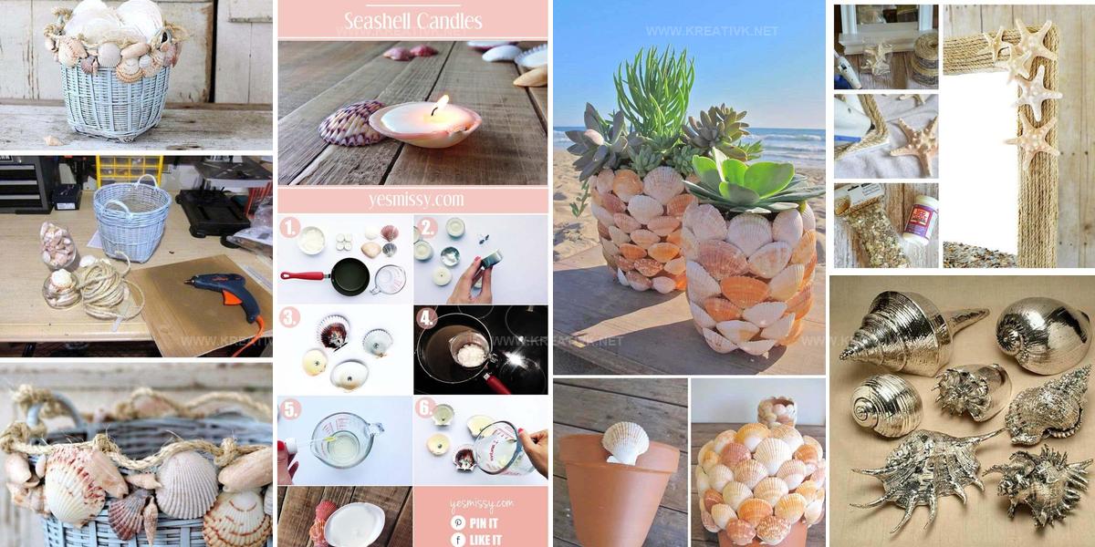 8127103 DIY Shell Project Ideas