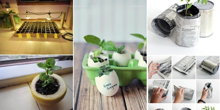 2347442 DIY Seed Starter Ideas