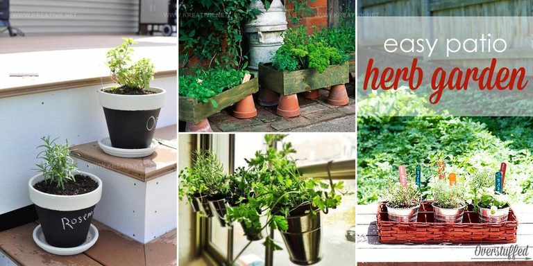 4756428 DIY Herb Garden Ideas