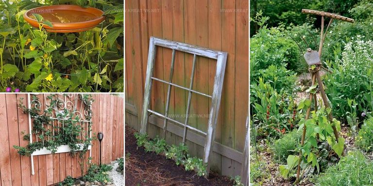 5823062 Upcycled Plant Support Ideas