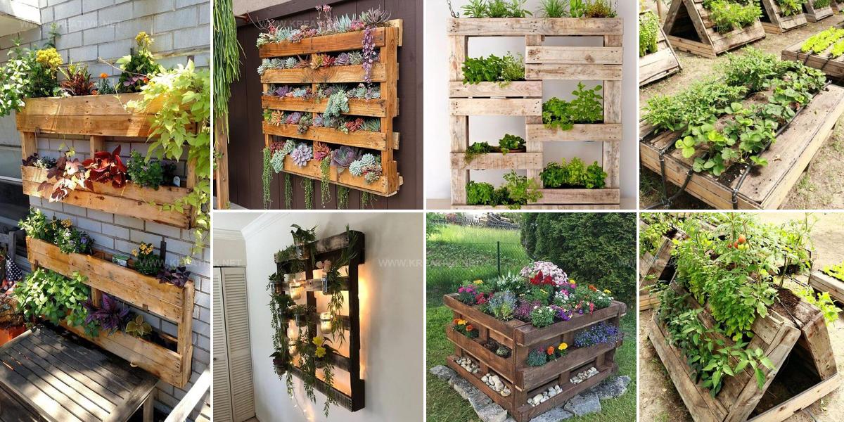 6109127 Pallet Planter Ideas