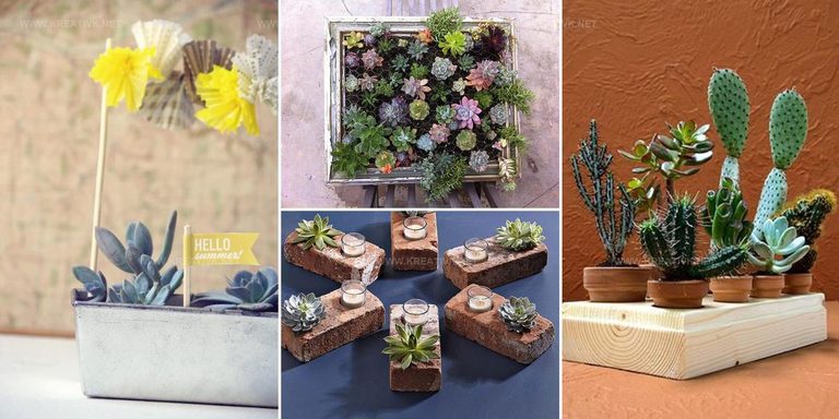 3313213 DIY Succulent Garden Ideas