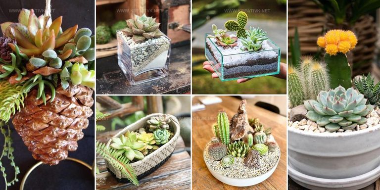 3137482 DIY Succulent Planter Styles