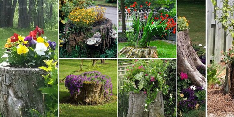 1117883 Tree Stump Planter Inspiration