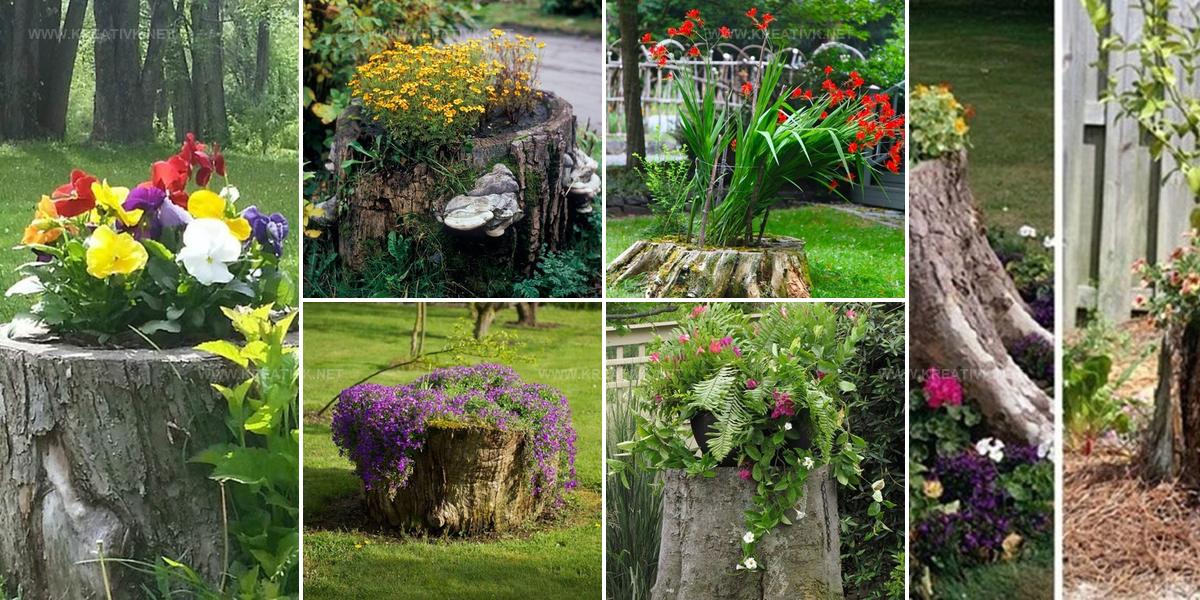 1117883 Tree Stump Planter Inspiration