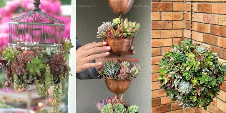 2582014 DIY Cactus And Succulent Dish Garden Ideas