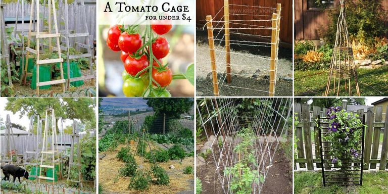 5998952 DIY Plant Support Ideas