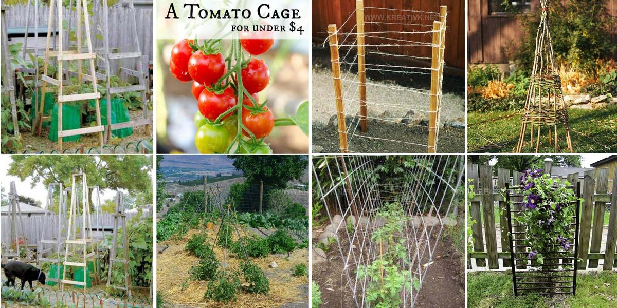 5998952 DIY Plant Support Ideas
