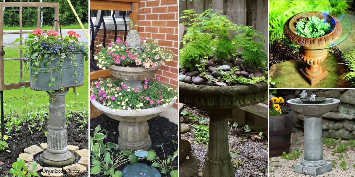 4064882 Old Birdbath Reuse Ideas