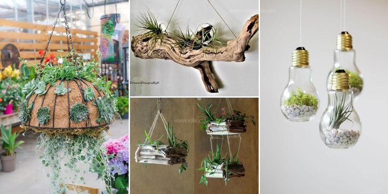 4866203 DIY Hanging Succulent Planter Ideas