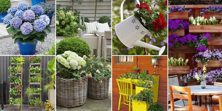 5458414 Patio Planter Project Ideas