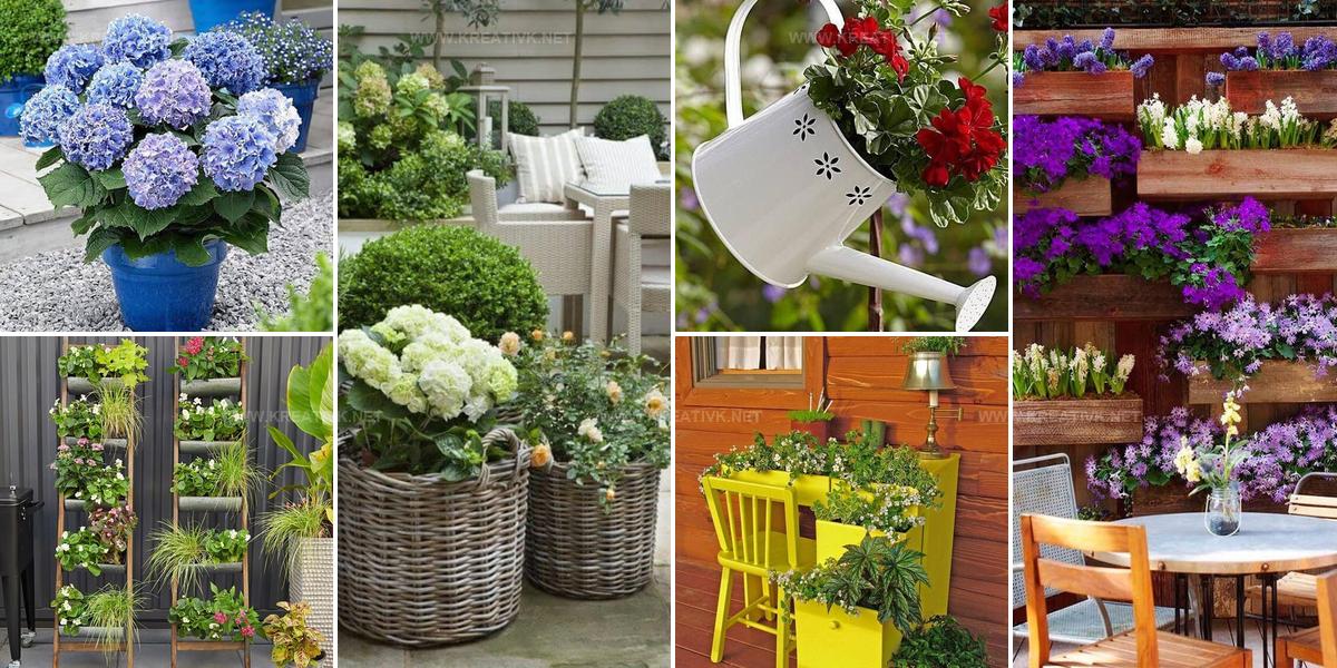 5458414 Patio Planter Project Ideas