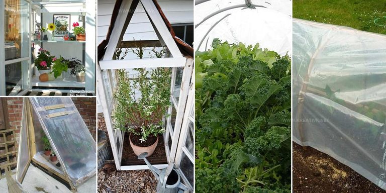 3402470 DIY Greenhouse Ideas