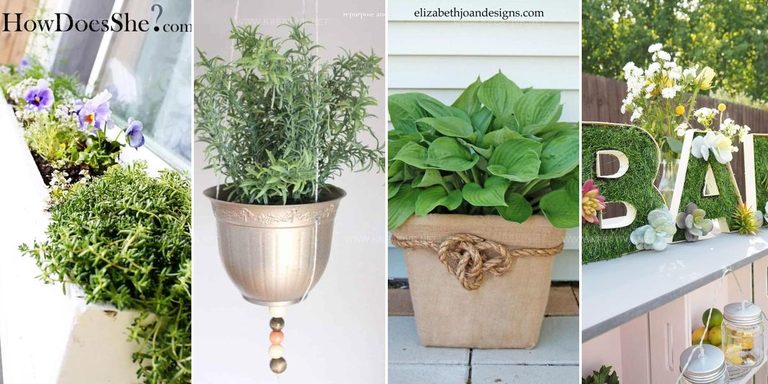 4284908 Dollar Tree Garden Ideas