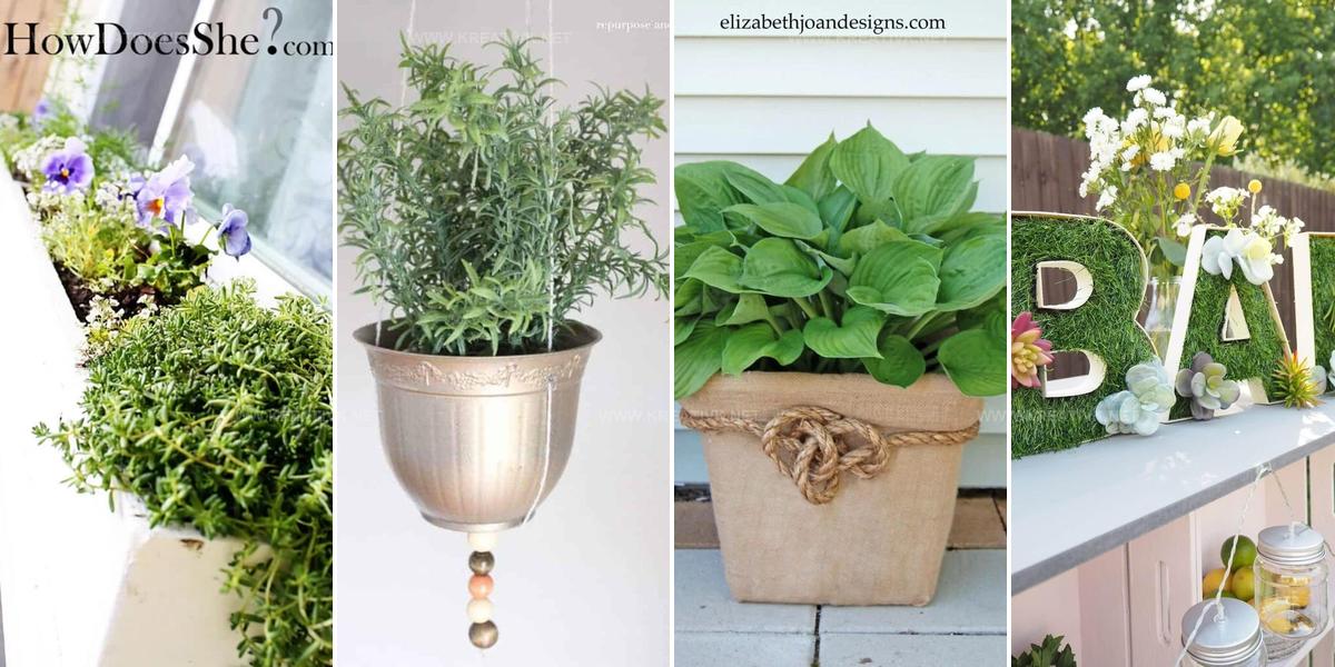 4284908 Dollar Tree Garden Ideas