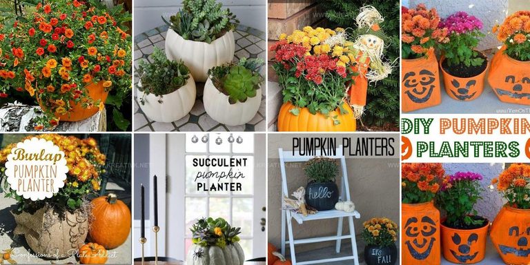 4152780 DIY Pumpkin Planter Ideas