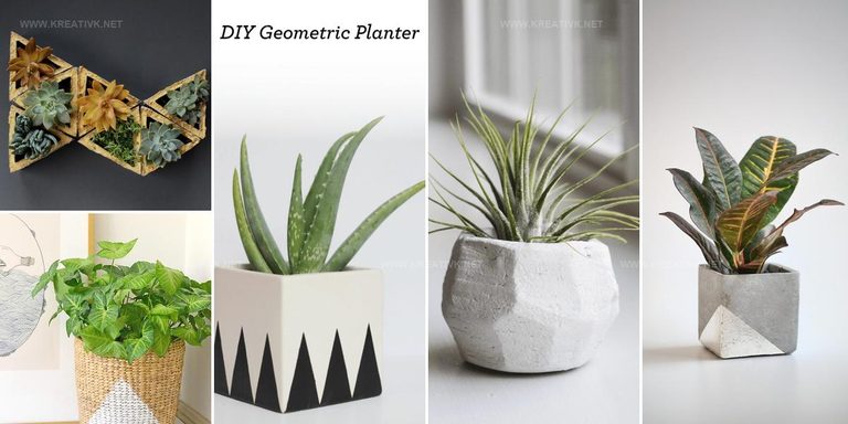 6105709 DIY Geometric Planter Ideas