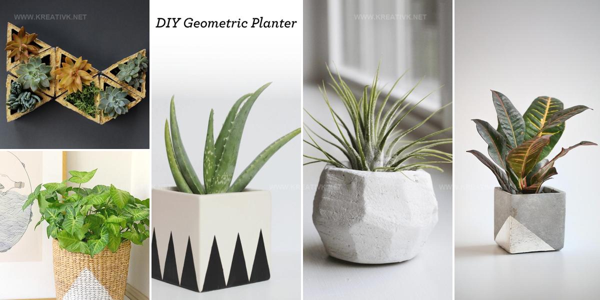 6105709 DIY Geometric Planter Ideas