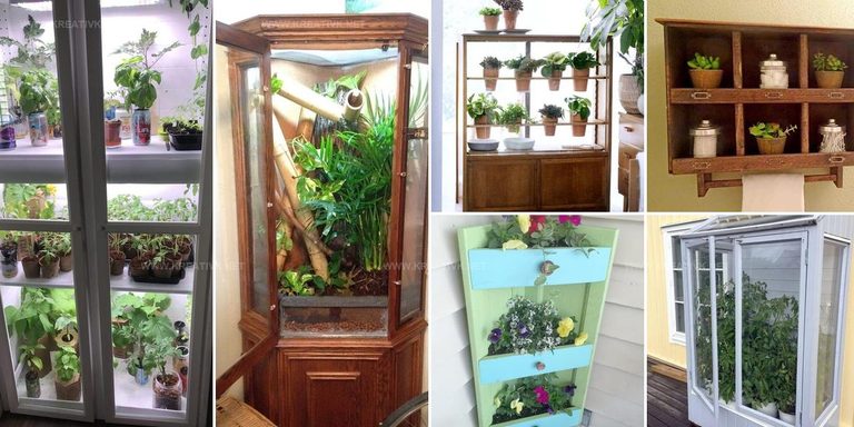 6124748 Old Plant Cabinet Upcycle Ideas