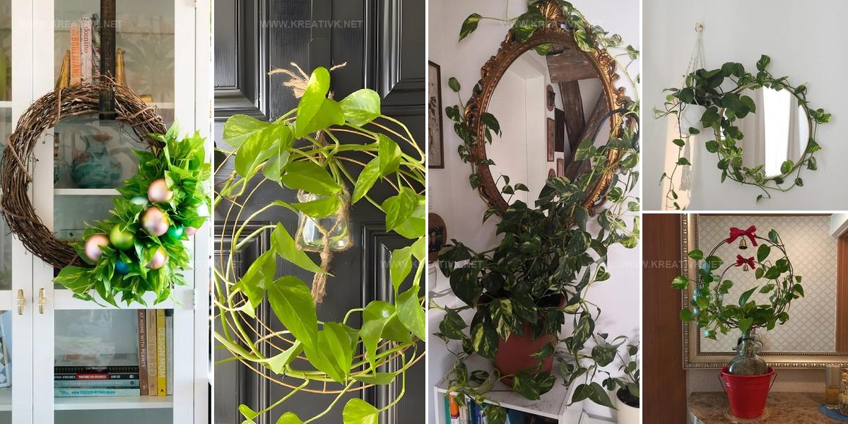 2226758 DIY Pothos Wreath Ideas